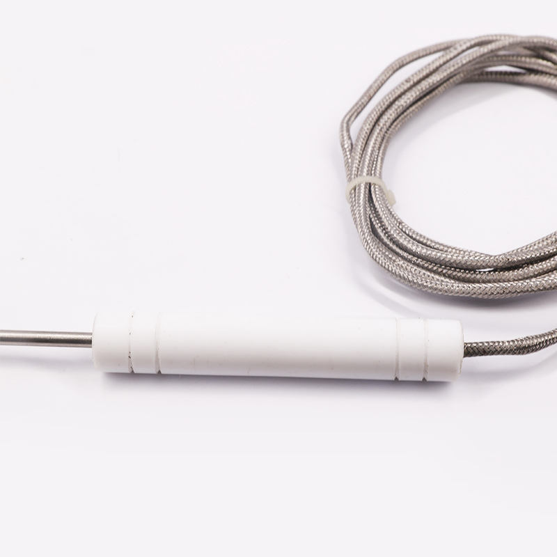 PT1000 PT100 NTC 食品グレードのプローブ温度センサー 肉バーベキューやオーブン用のステンレス鋼プローブ熱電対